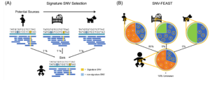 signatureSNVs